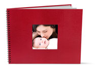 Couverture Red Lizard