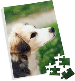 Le puzzle photo personnalis&eacute;