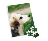 En savoir plus sur le puzzle photo