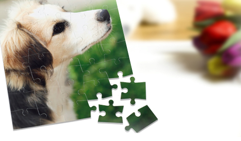 Le puzzle photo
