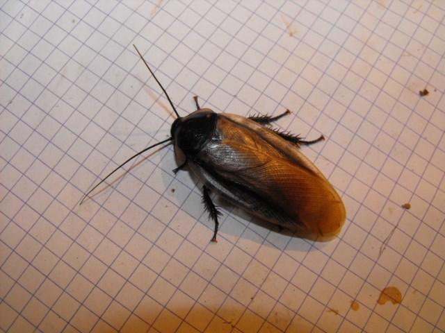 m_323017732_0.jpg