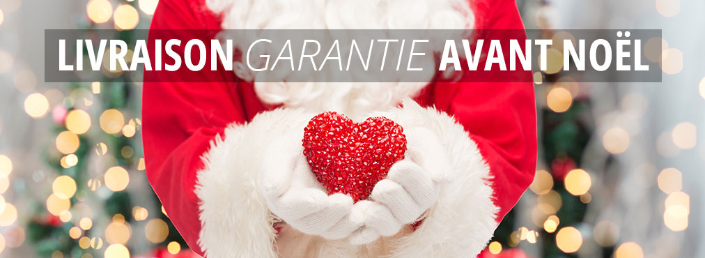 Livraison garantie avant Noël