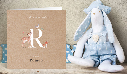 Les faire-part naissance