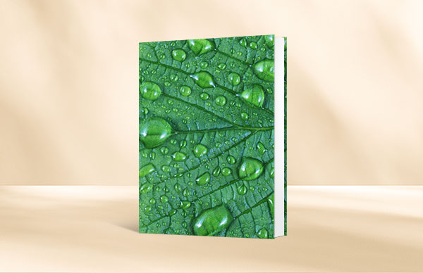 Coffret 