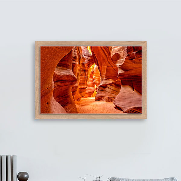 Photo sous plexi H&eacute;ritage ch&ecirc;ne