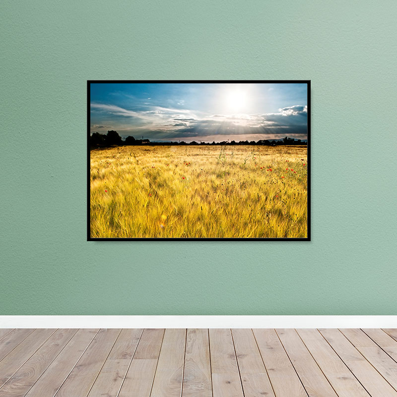 Poster encadr&eacute;