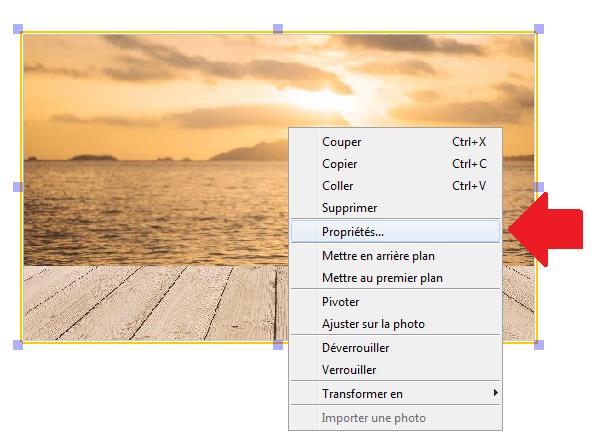 Propriétés
