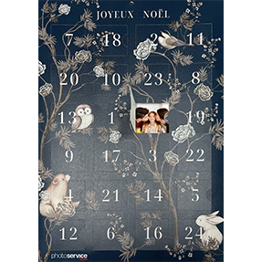 Calendrier de l'Avent Blue Forest
