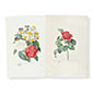 Livre Fleurs Arthus-Bertrand 2