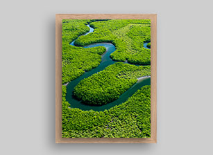 Photo sur Alu Héritage chêne vue 7