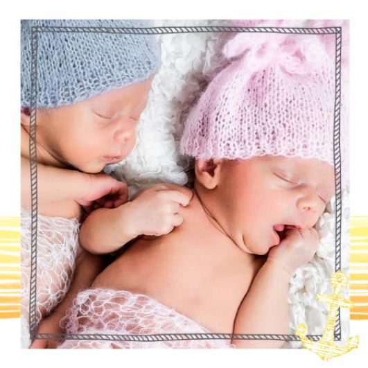 D&eacute;couvrir nos mod&egrave;les de faire-part