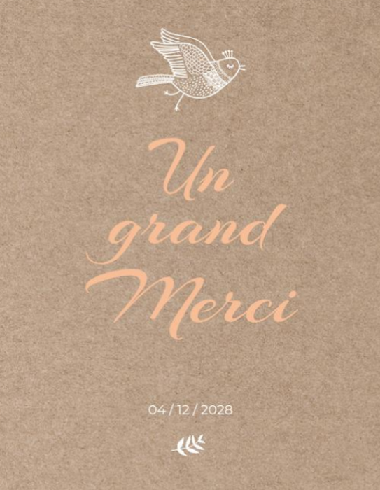 D&eacute;couvrir nos mod&egrave;les de faire-part