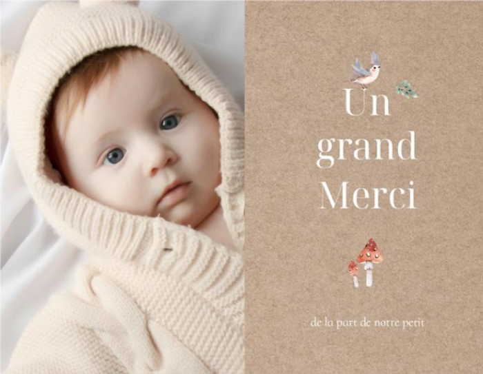 D&eacute;couvrir nos mod&egrave;les de faire-part