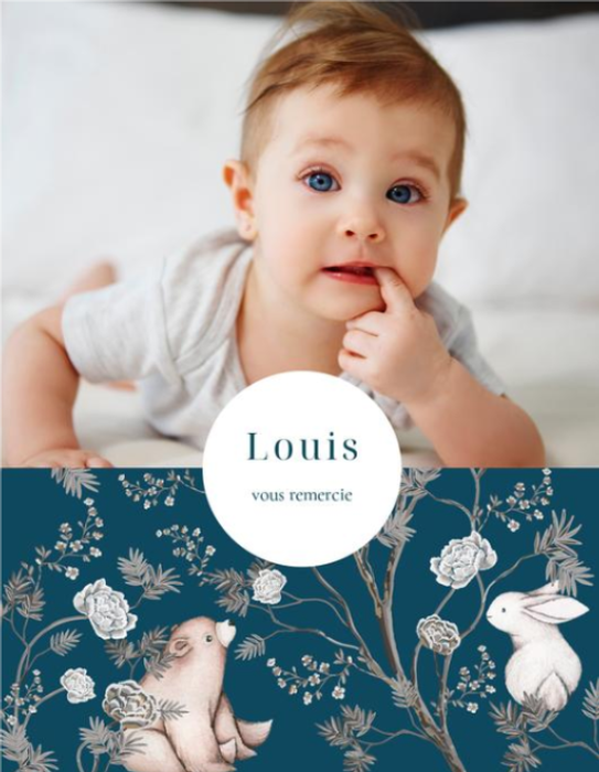 D&eacute;couvrir nos mod&egrave;les de faire-part