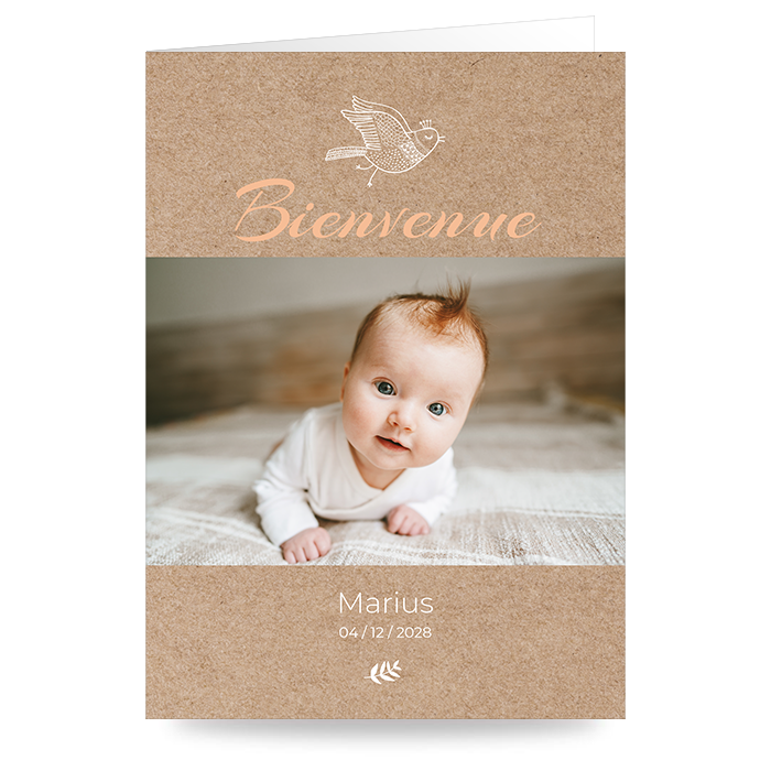 D&eacute;couvrir nos mod&egrave;les de faire-part