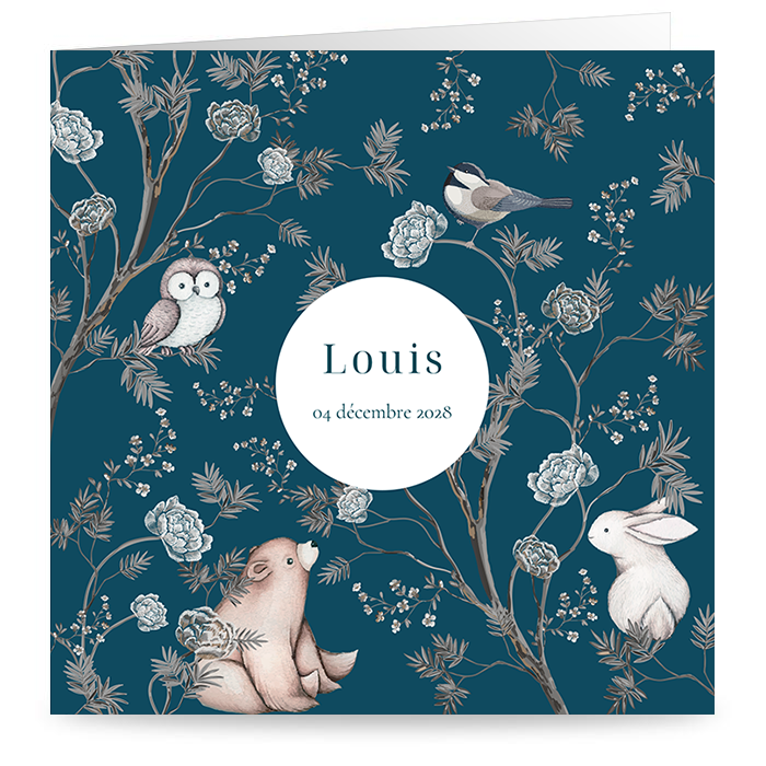 D&eacute;couvrir nos mod&egrave;les de faire-part